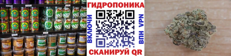 Cannafood конопля площадка клад Янаул