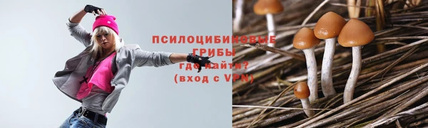 таблы Переславль-Залесский