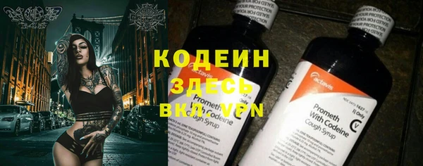 дурь Пестово