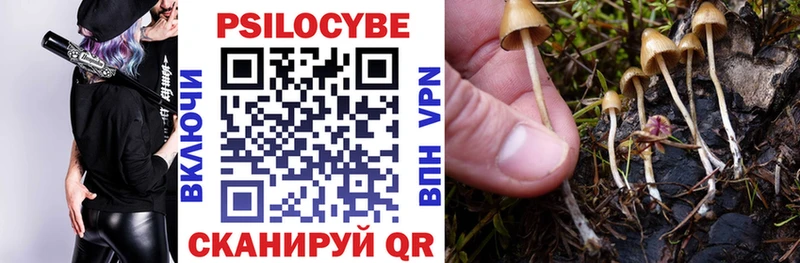 купить наркоту  Янаул  Псилоцибиновые грибы GOLDEN TEACHER 